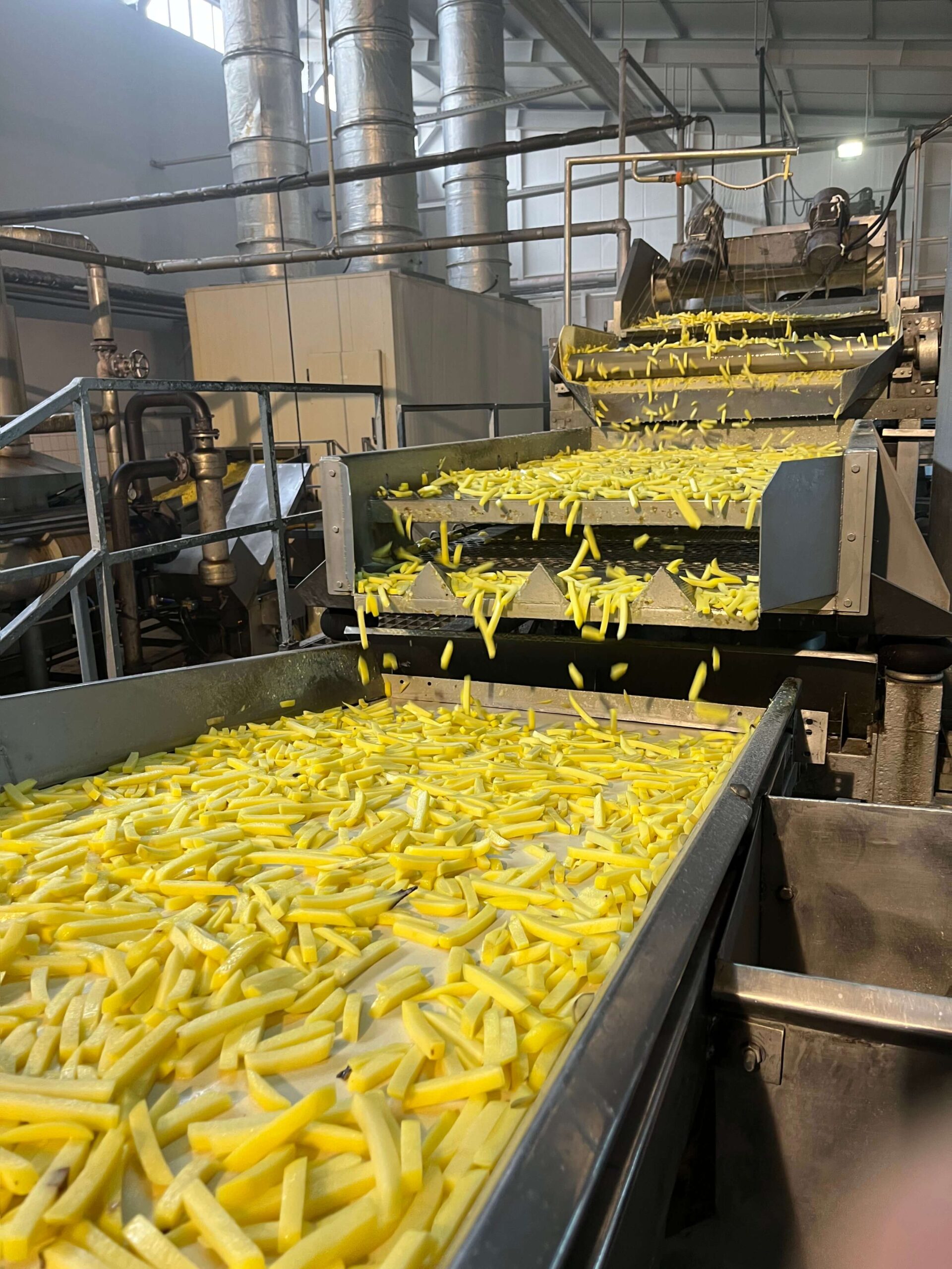 turfan-tarimsal-bolu-patates-fabrikasi-00009